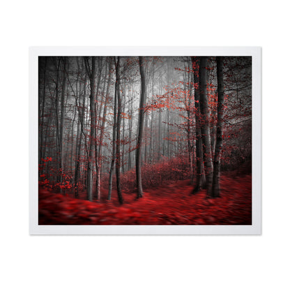 Red Forest Mist No2