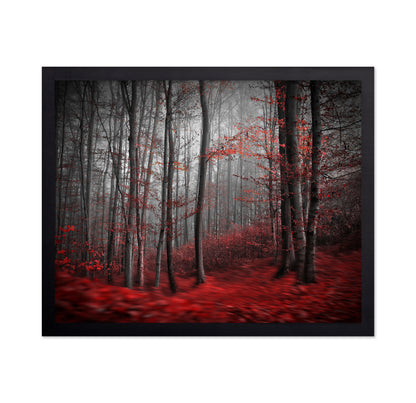 Red Forest Mist No2