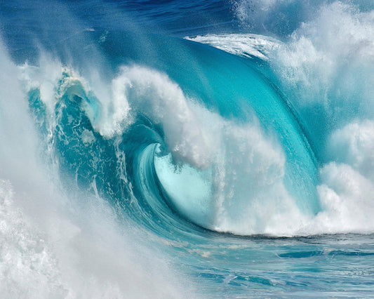 Ocean Wave Curl