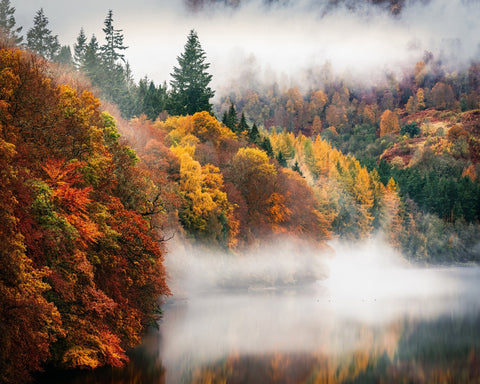 Misty Autumn Lake