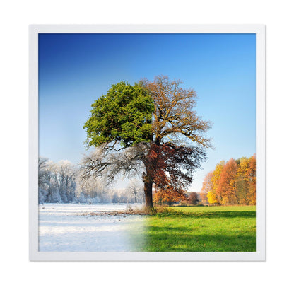 Four Seasons Tree No2