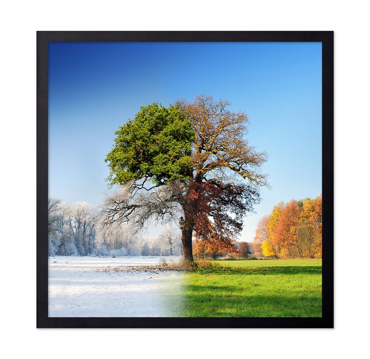 Four Seasons Tree No2