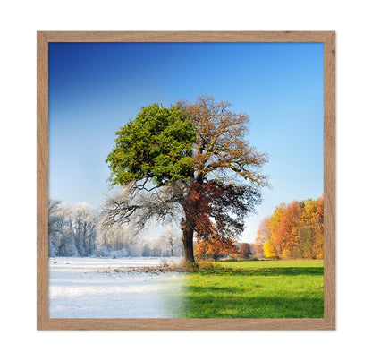 Four Seasons Tree No2