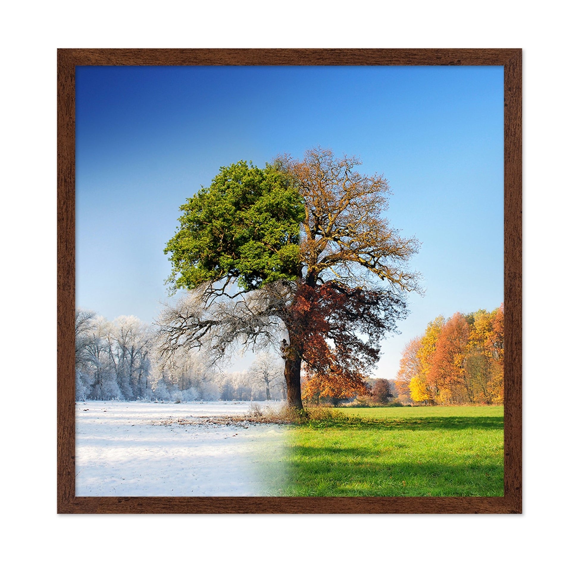 Four Seasons Tree No2