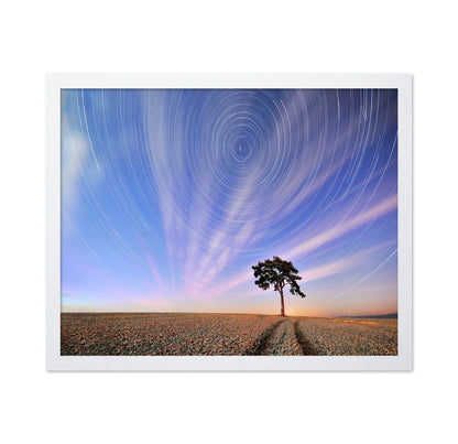 Star Trails Lone Tree