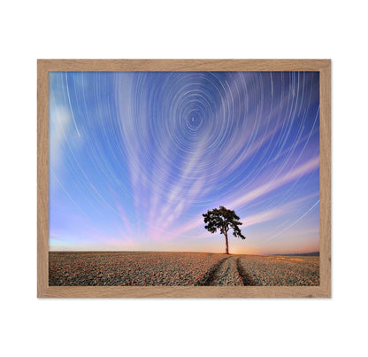 Star Trails Lone Tree