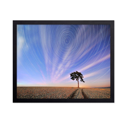 Star Trails Lone Tree