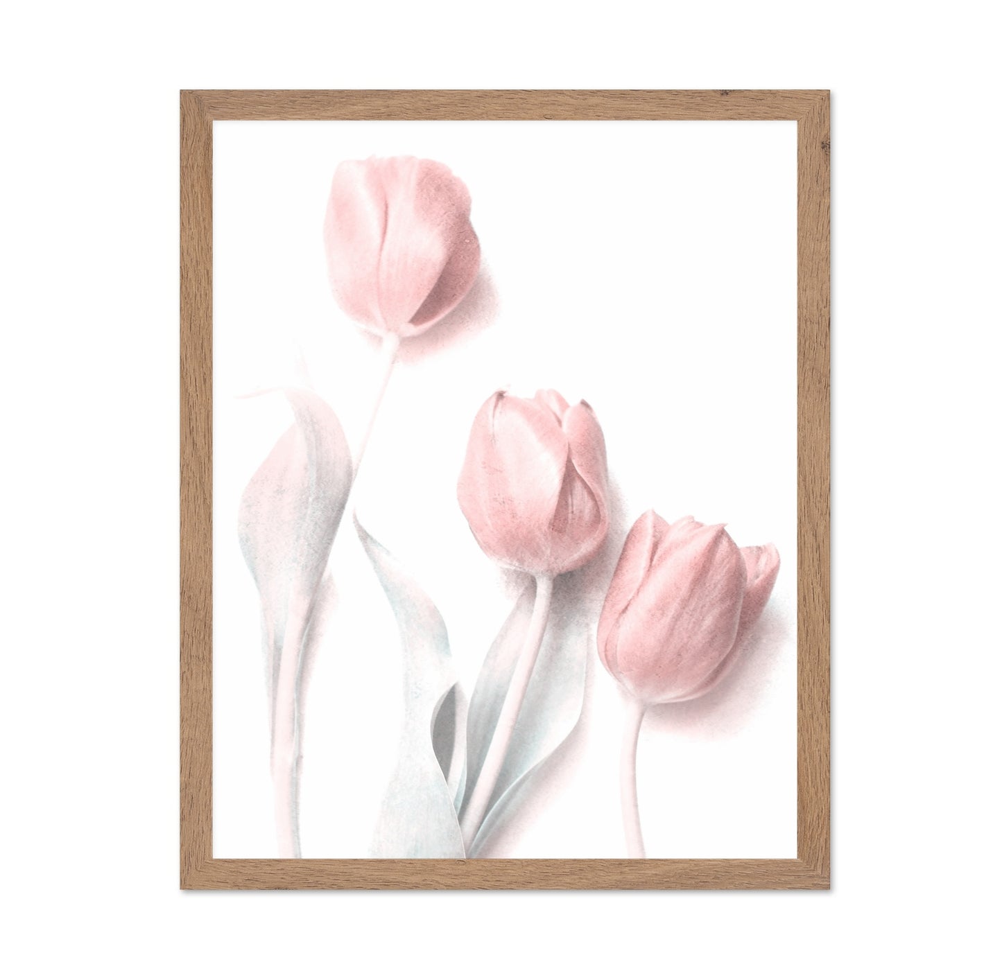 Soft Pink Tulips