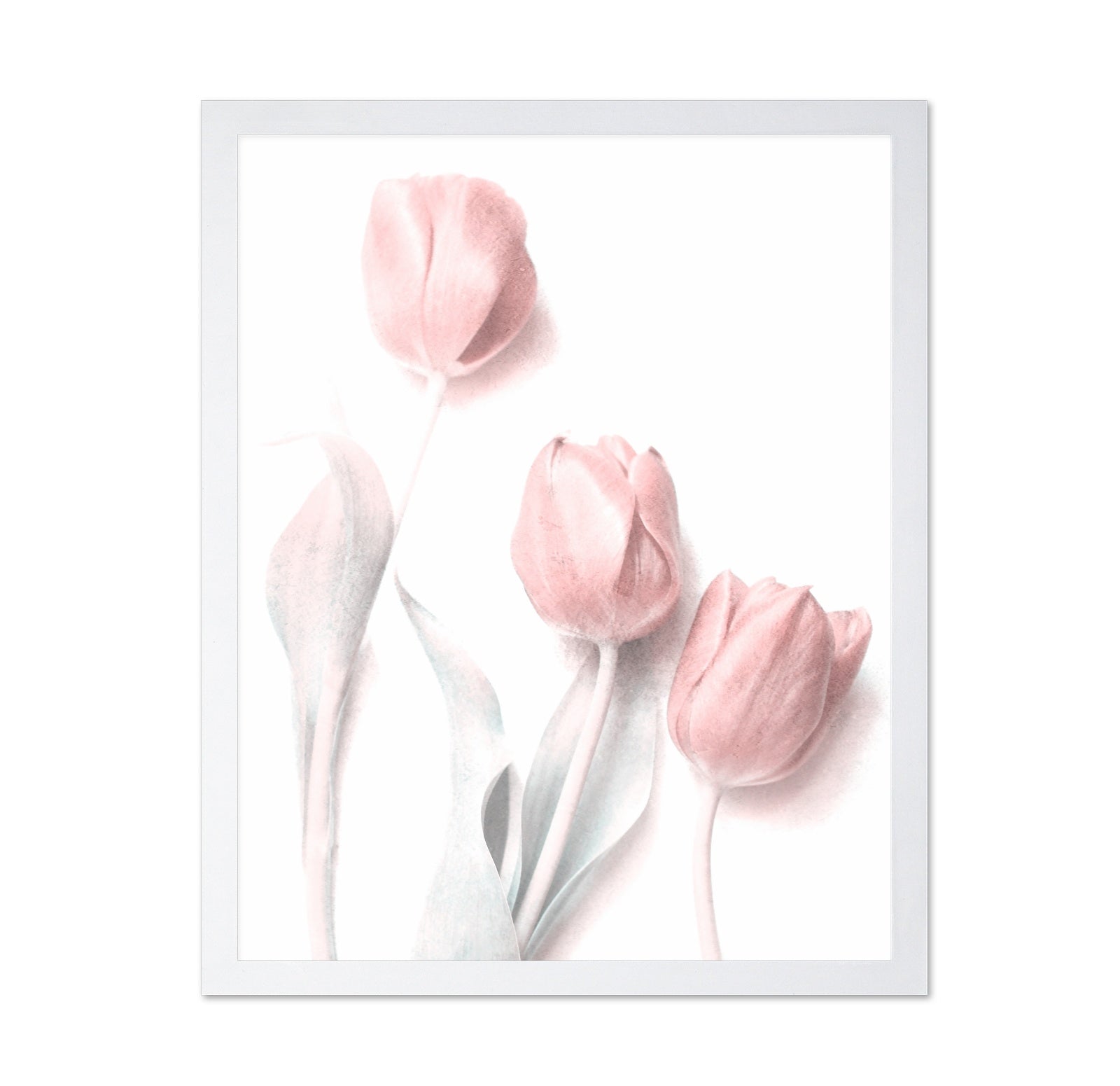 Soft Pink Tulips
