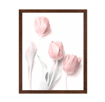 Soft Pink Tulips