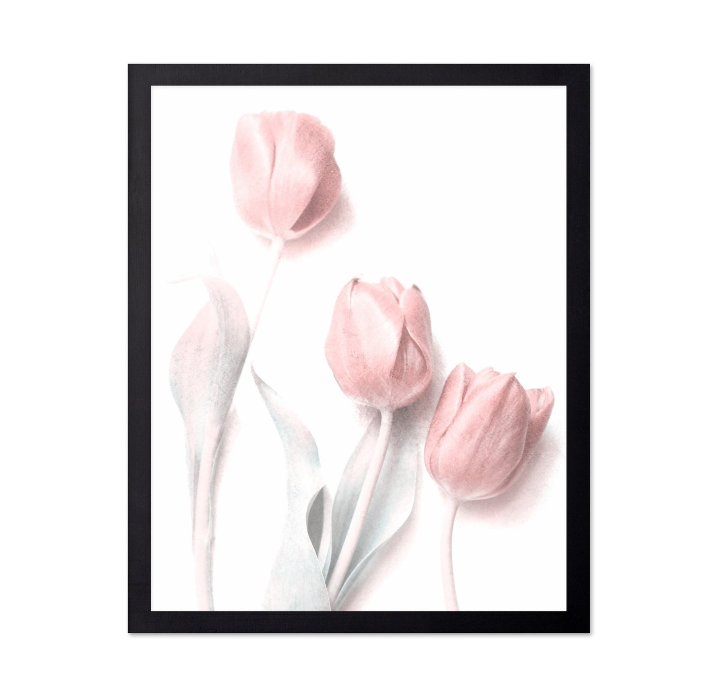 Soft Pink Tulips