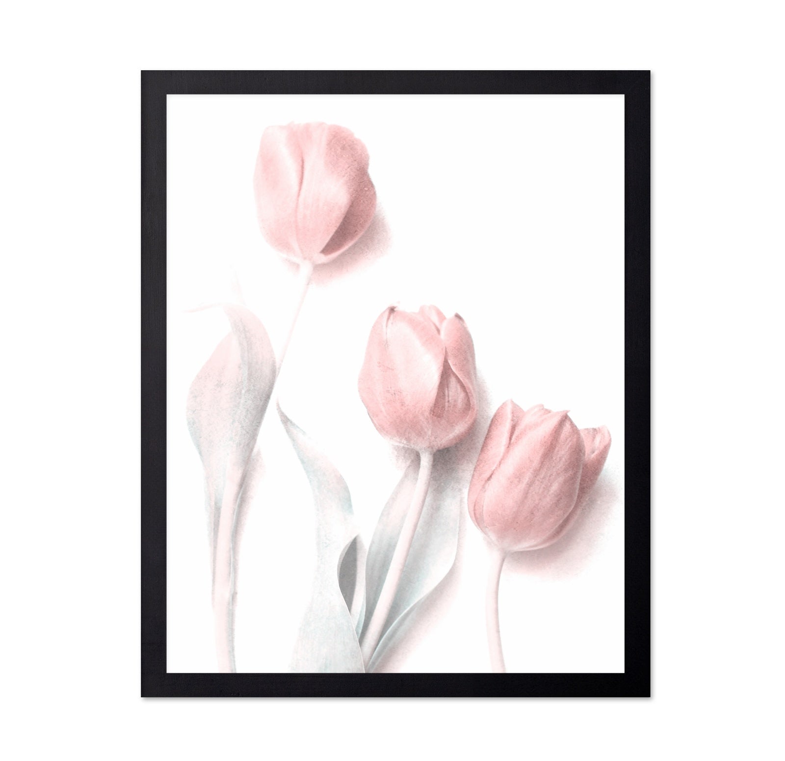 Soft Pink Tulips