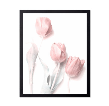 Soft Pink Tulips