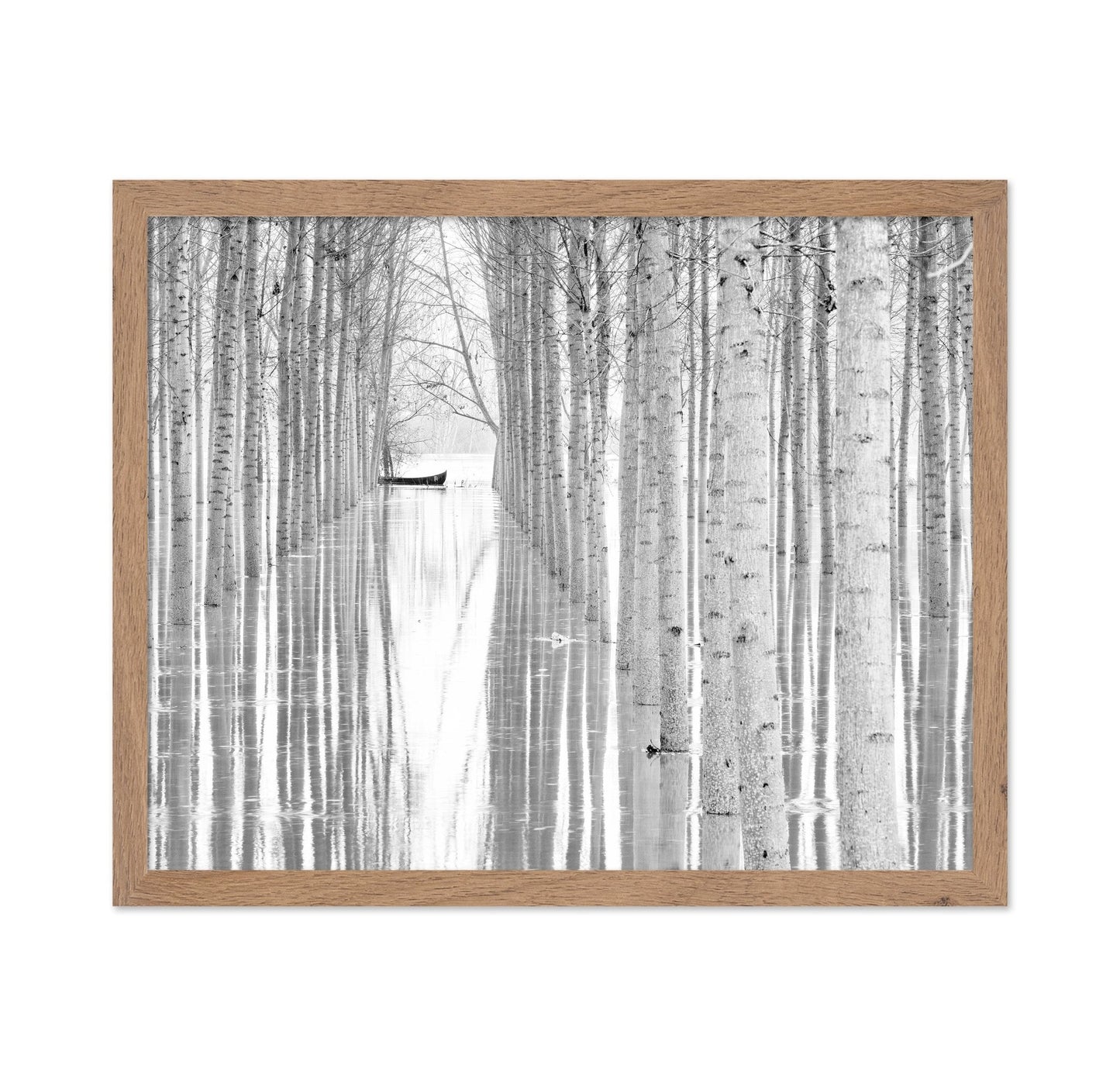 Quiet Forest Boat