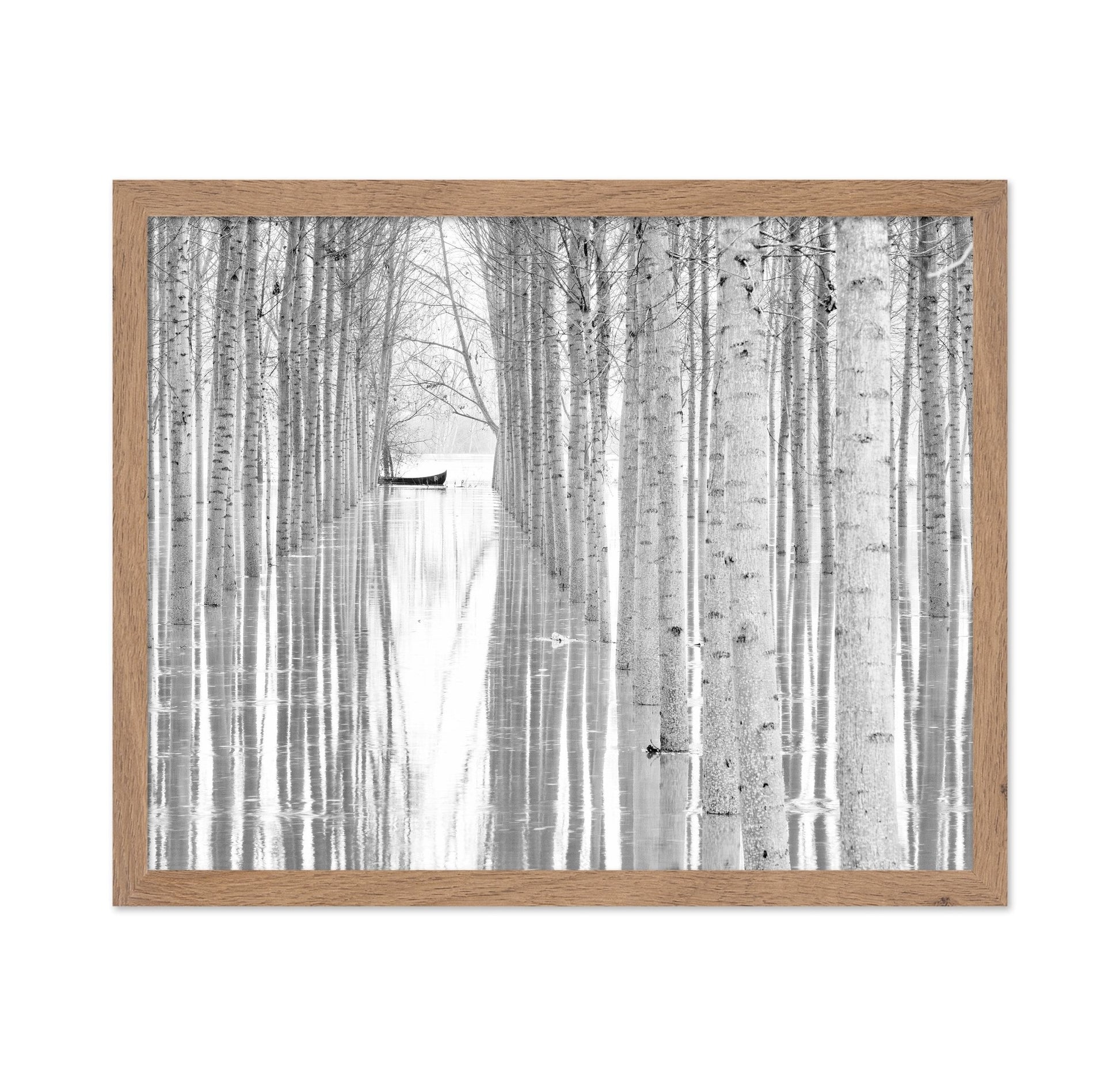 Quiet Forest Boat