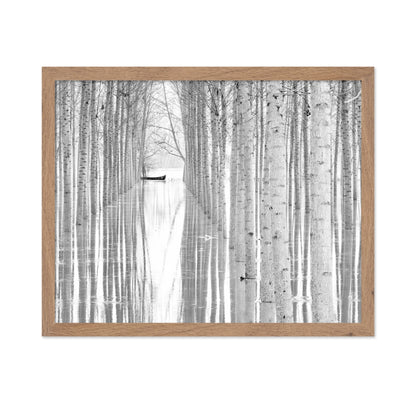 Quiet Forest Boat