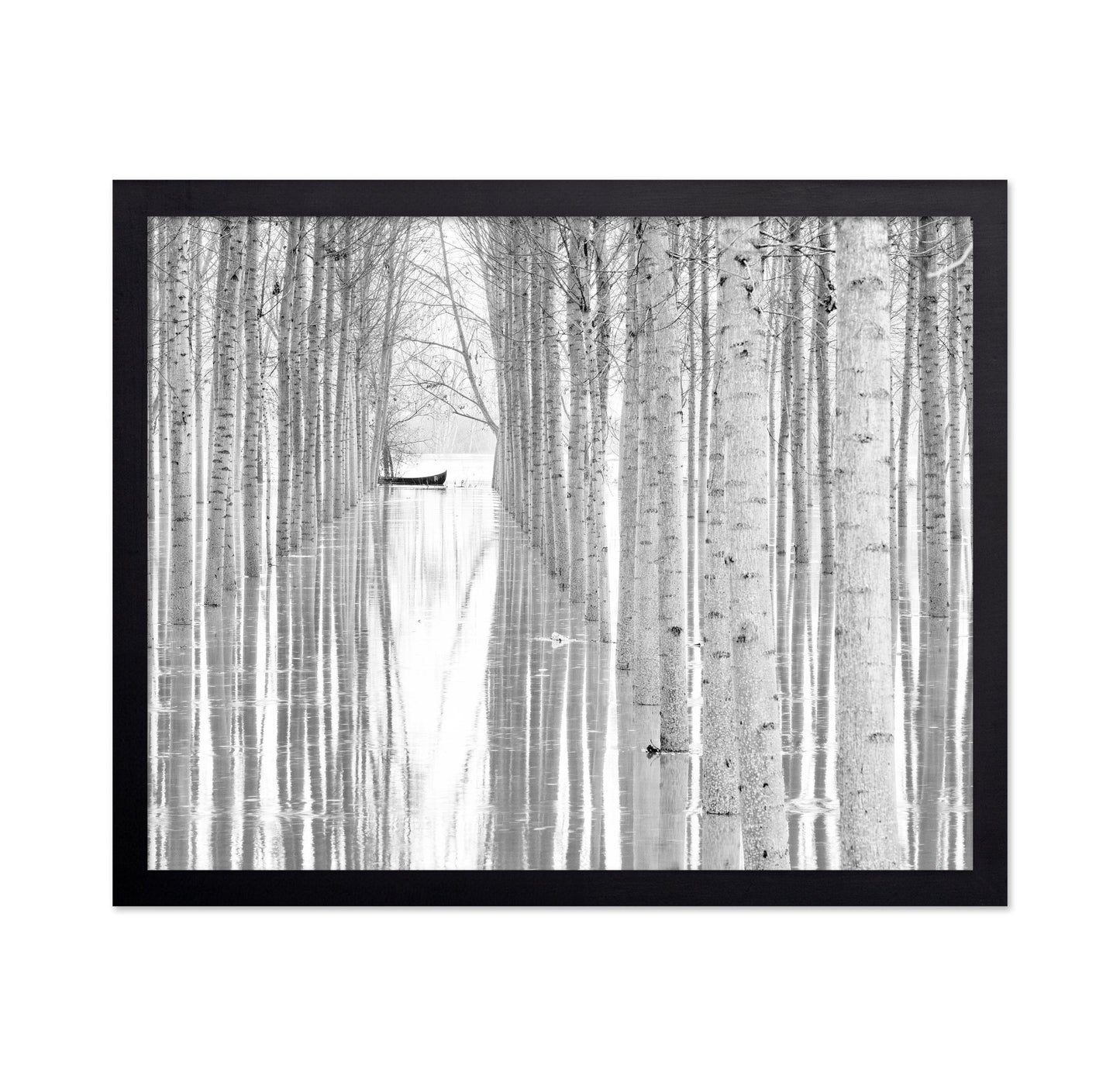 Quiet Forest Boat