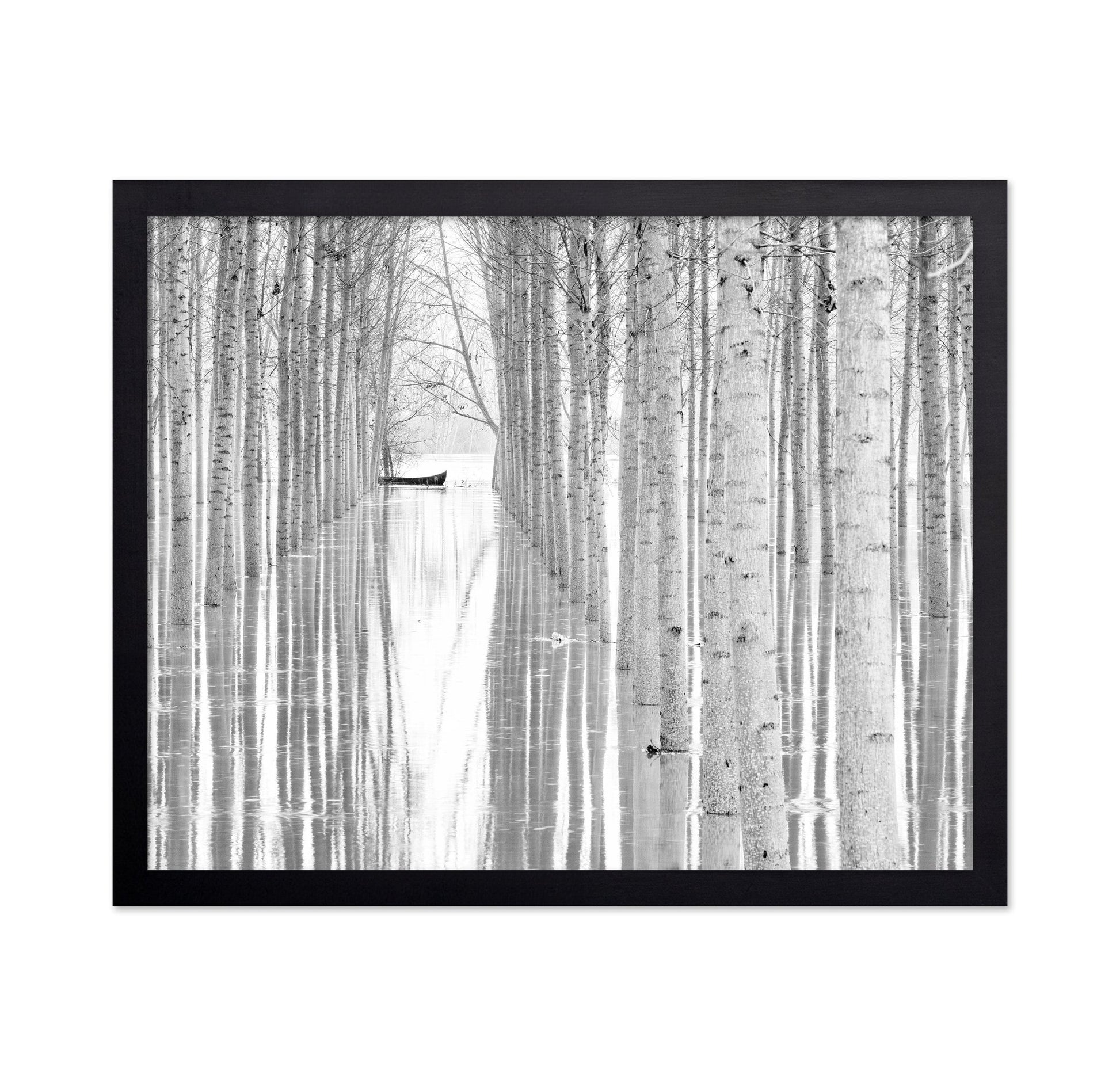 Quiet Forest Boat