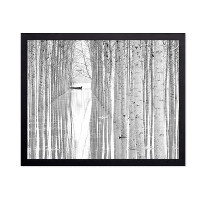 Quiet Forest Boat