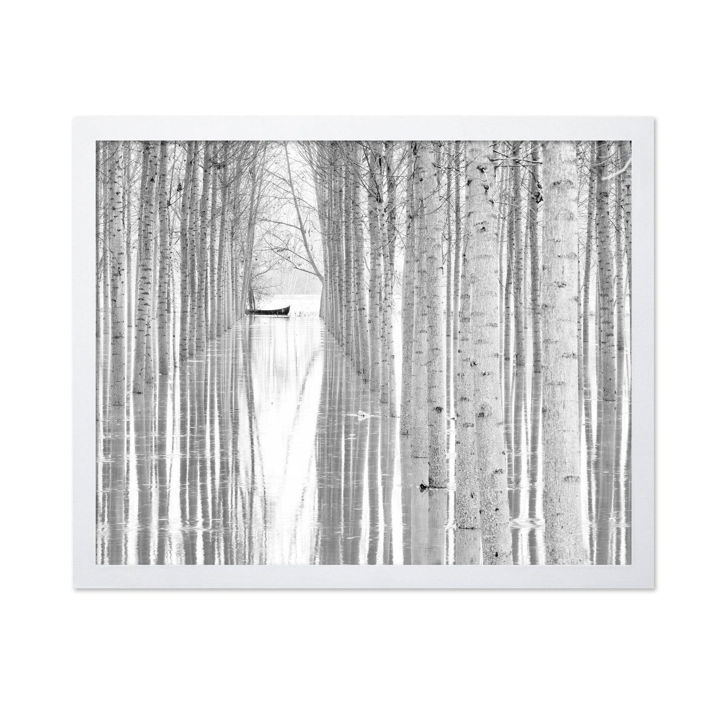 Quiet Forest Boat