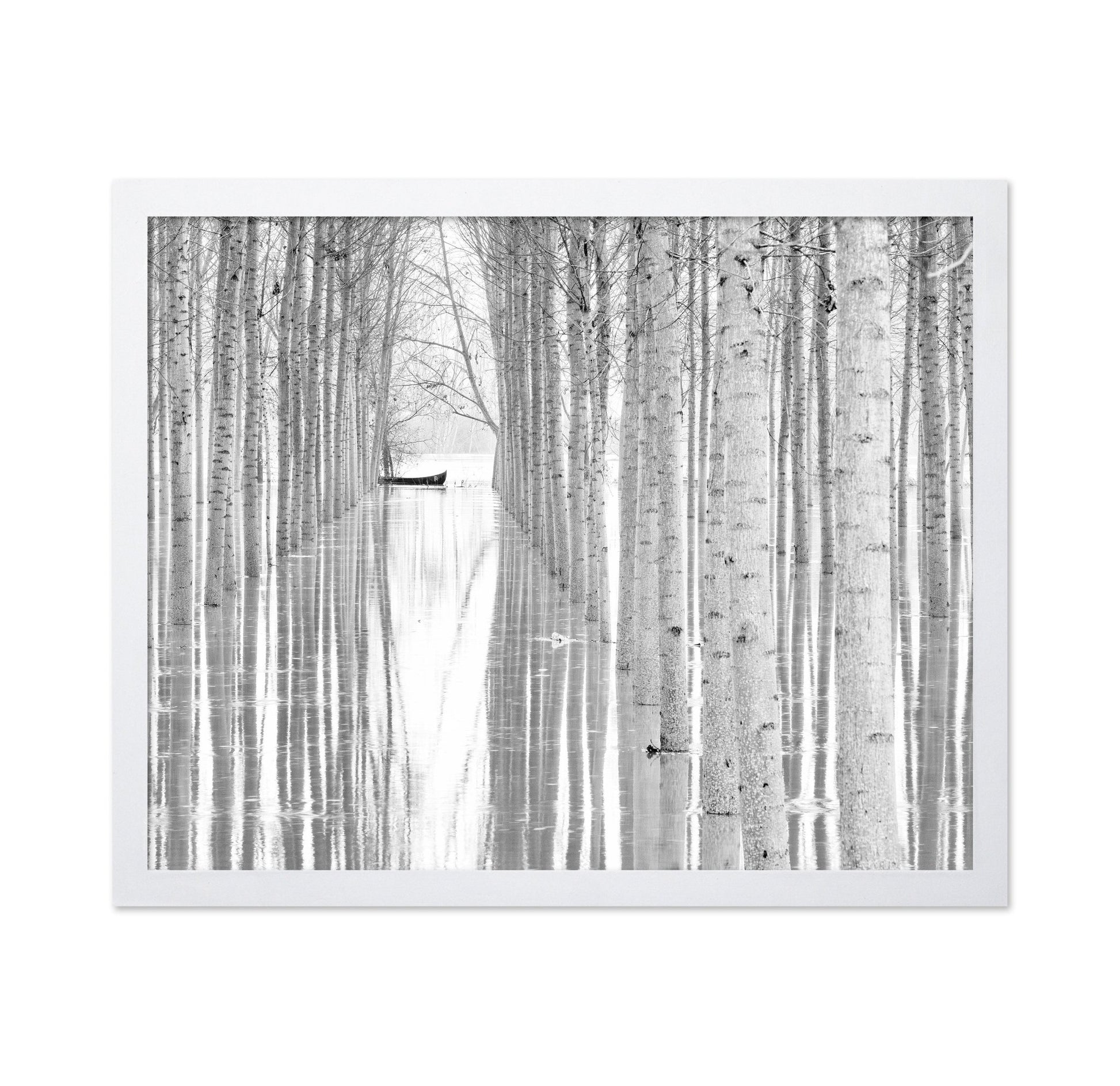 Quiet Forest Boat