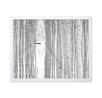 Quiet Forest Boat