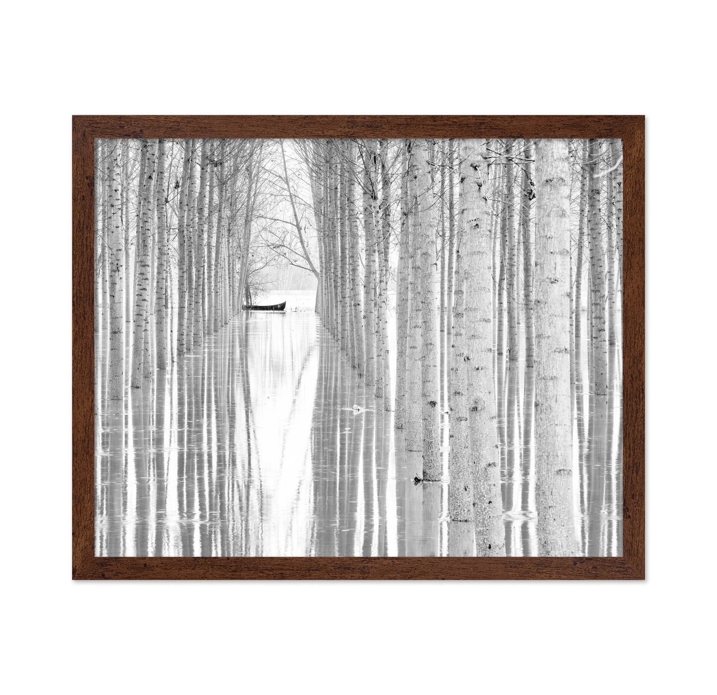 Quiet Forest Boat