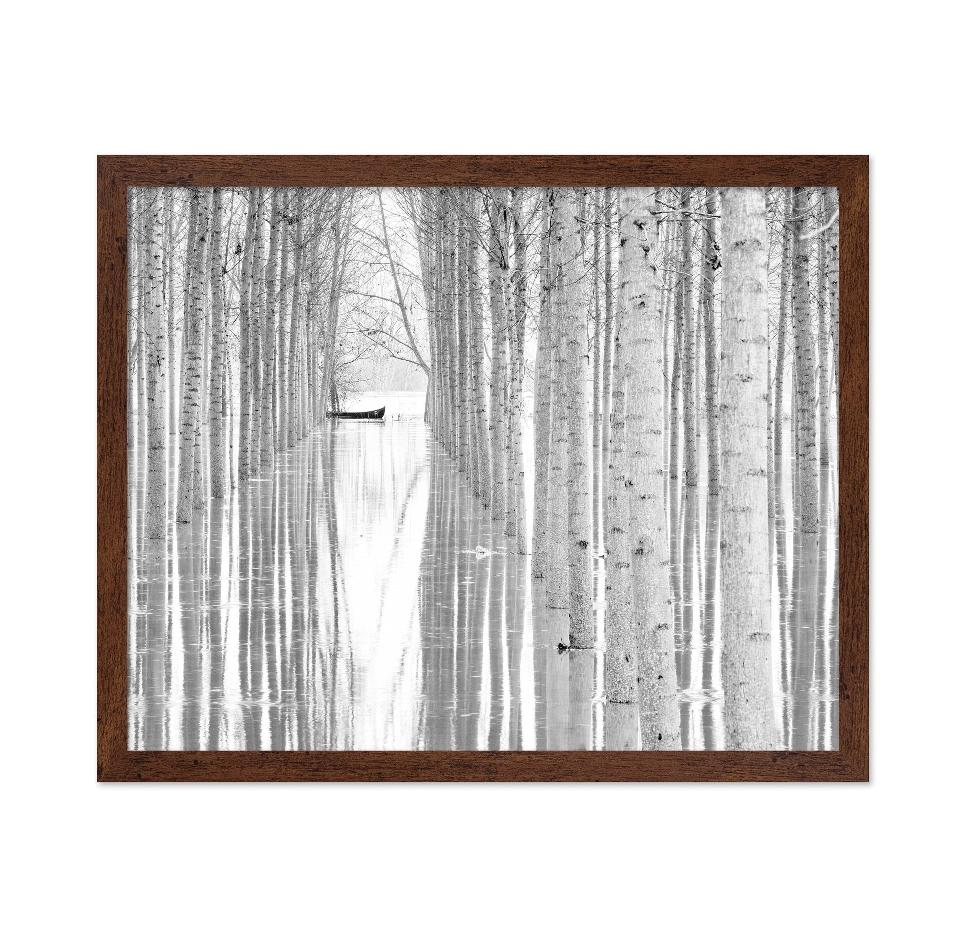 Quiet Forest Boat