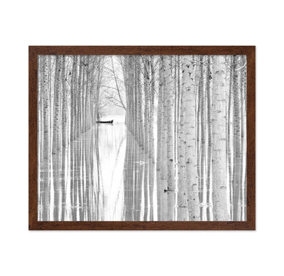 Quiet Forest Boat