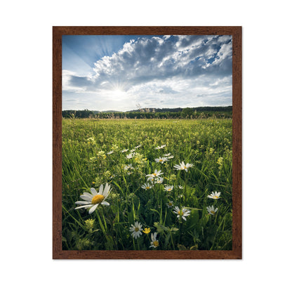 Sunny Wildflower Field