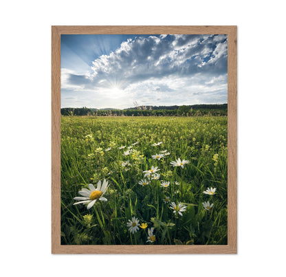 Sunny Wildflower Field