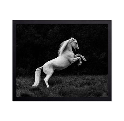 Rearing White Horse