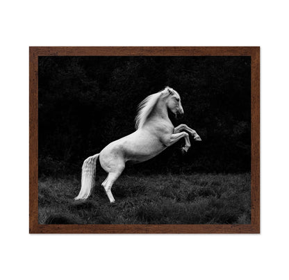 Rearing White Horse
