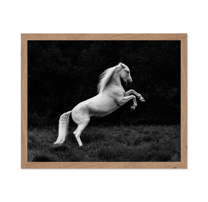 Rearing White Horse