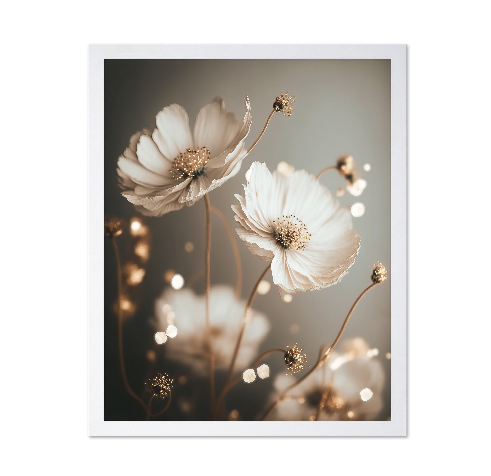 Soft White Cosmos