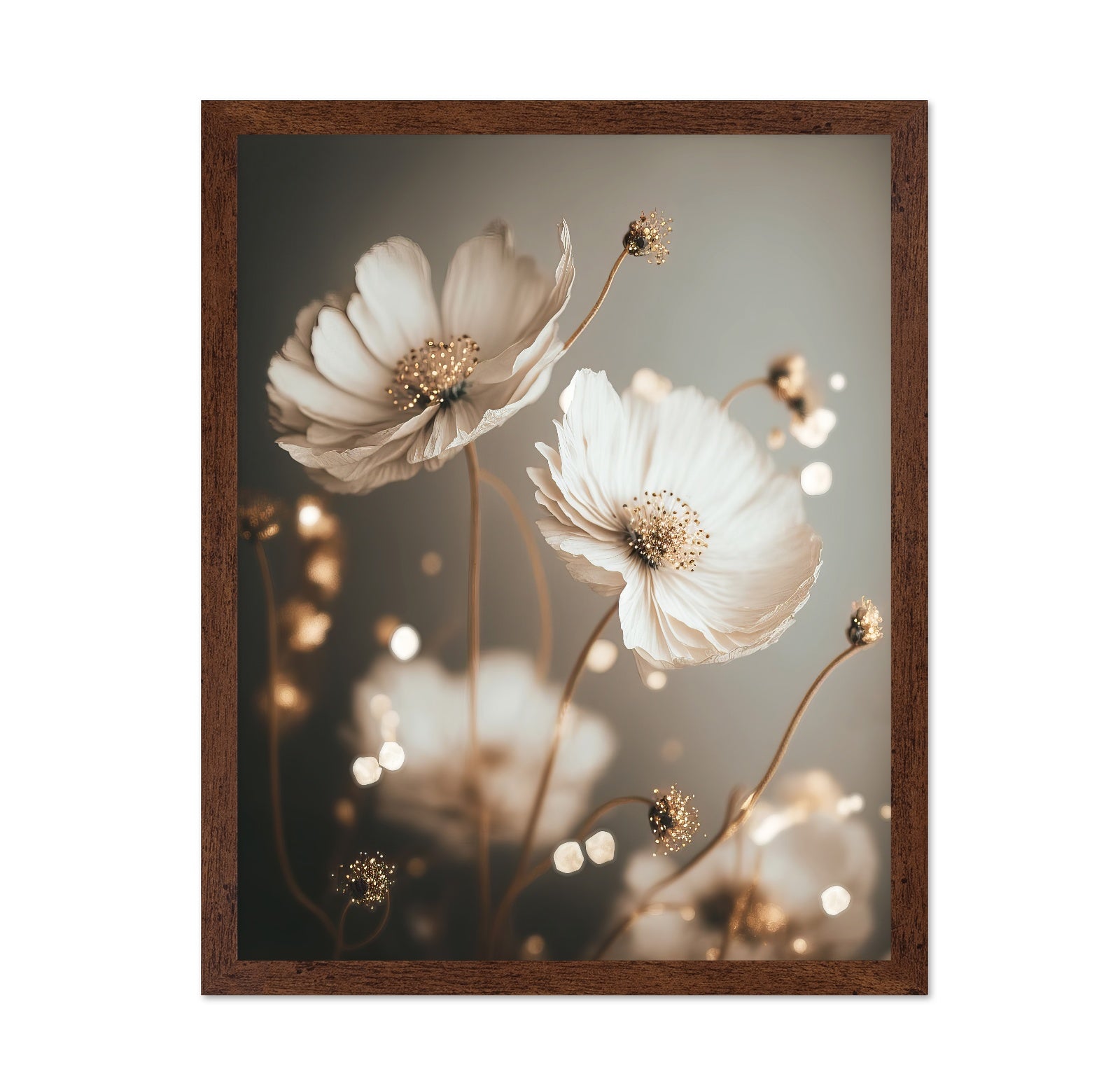 Soft White Cosmos