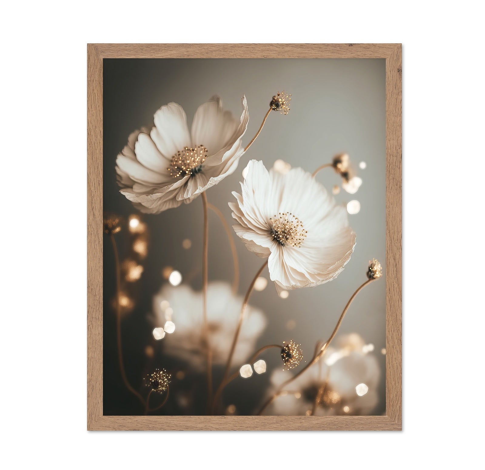 Soft White Cosmos