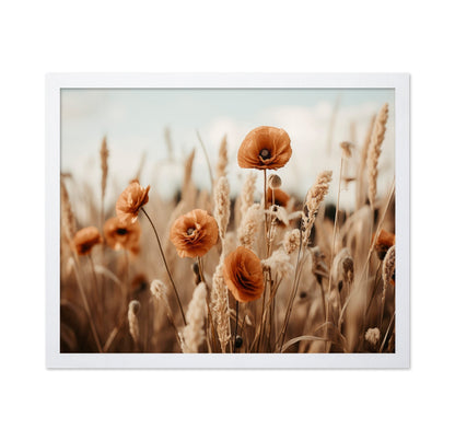 Golden Poppy Field No2