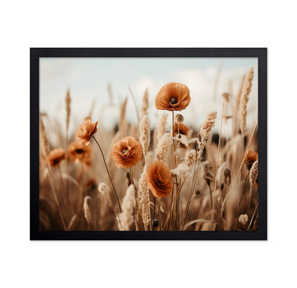Golden Poppy Field No2