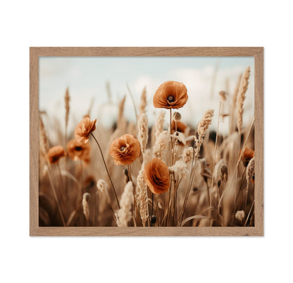 Golden Poppy Field No2
