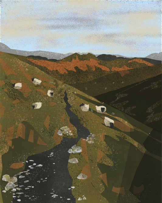Mountain Sheep Valley