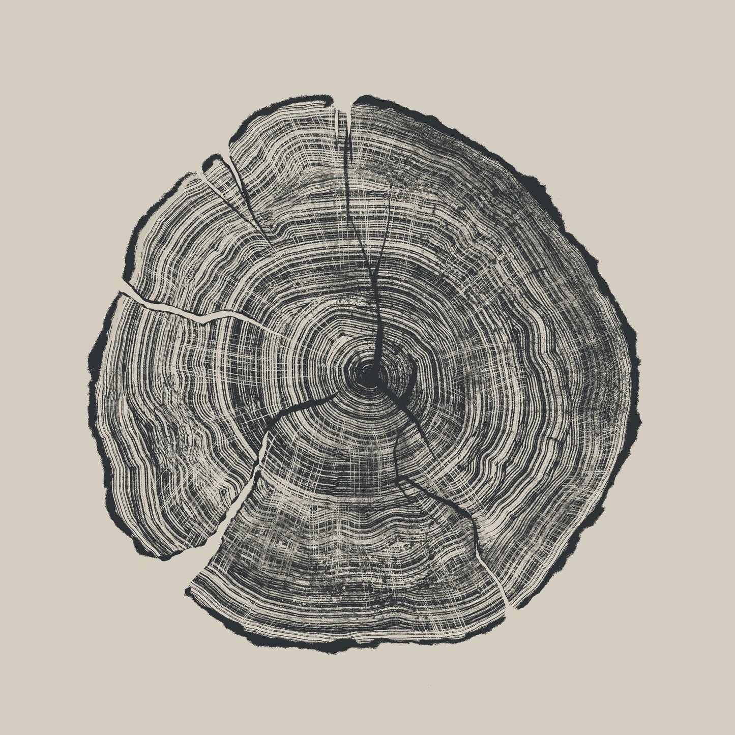 Tree Ring Slice