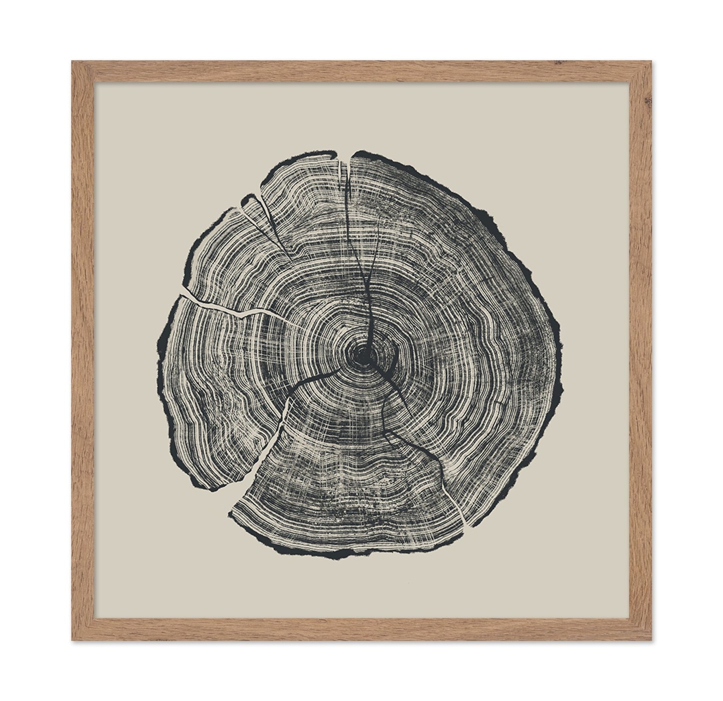 Tree Ring Slice
