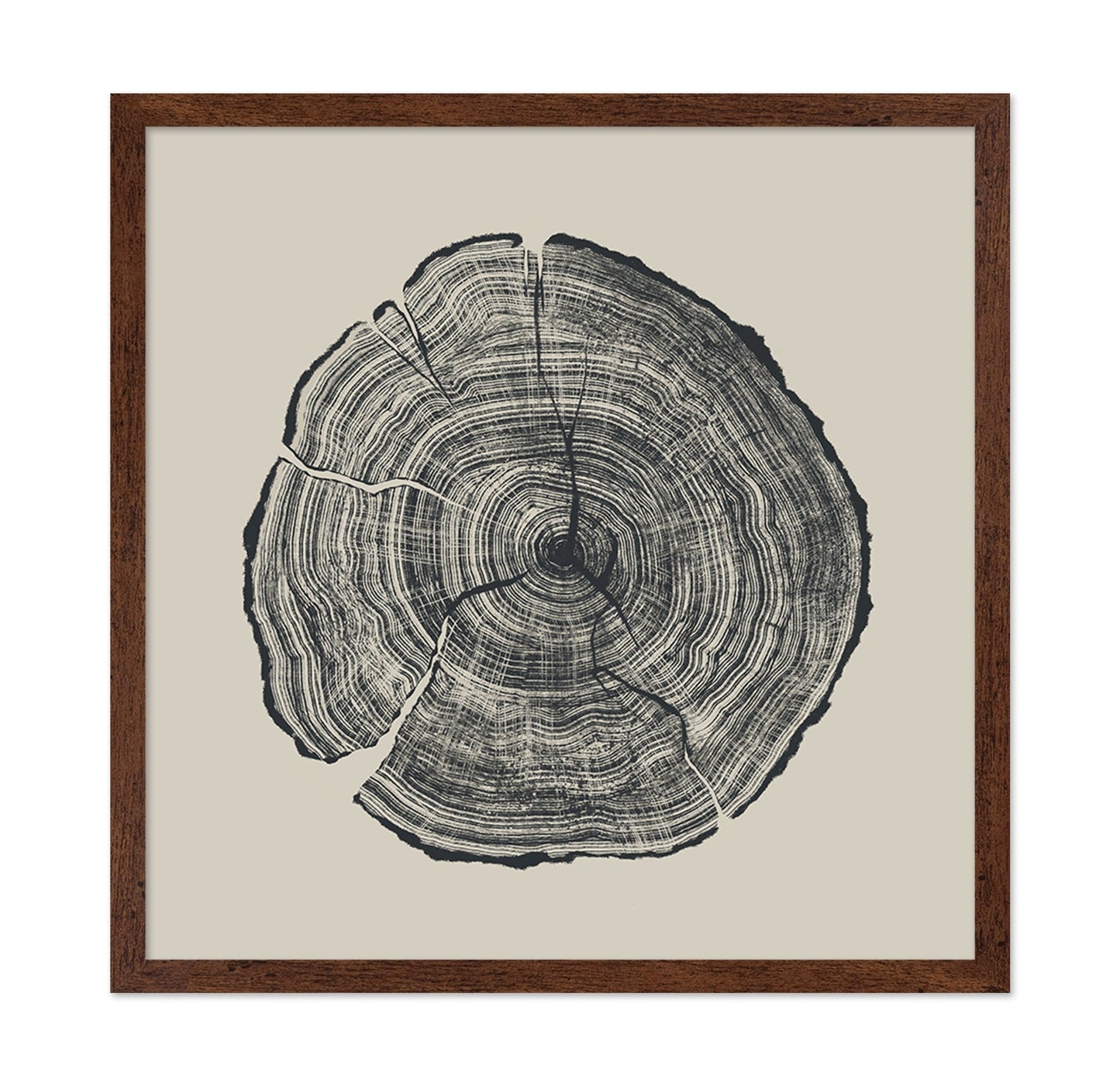 Tree Ring Slice