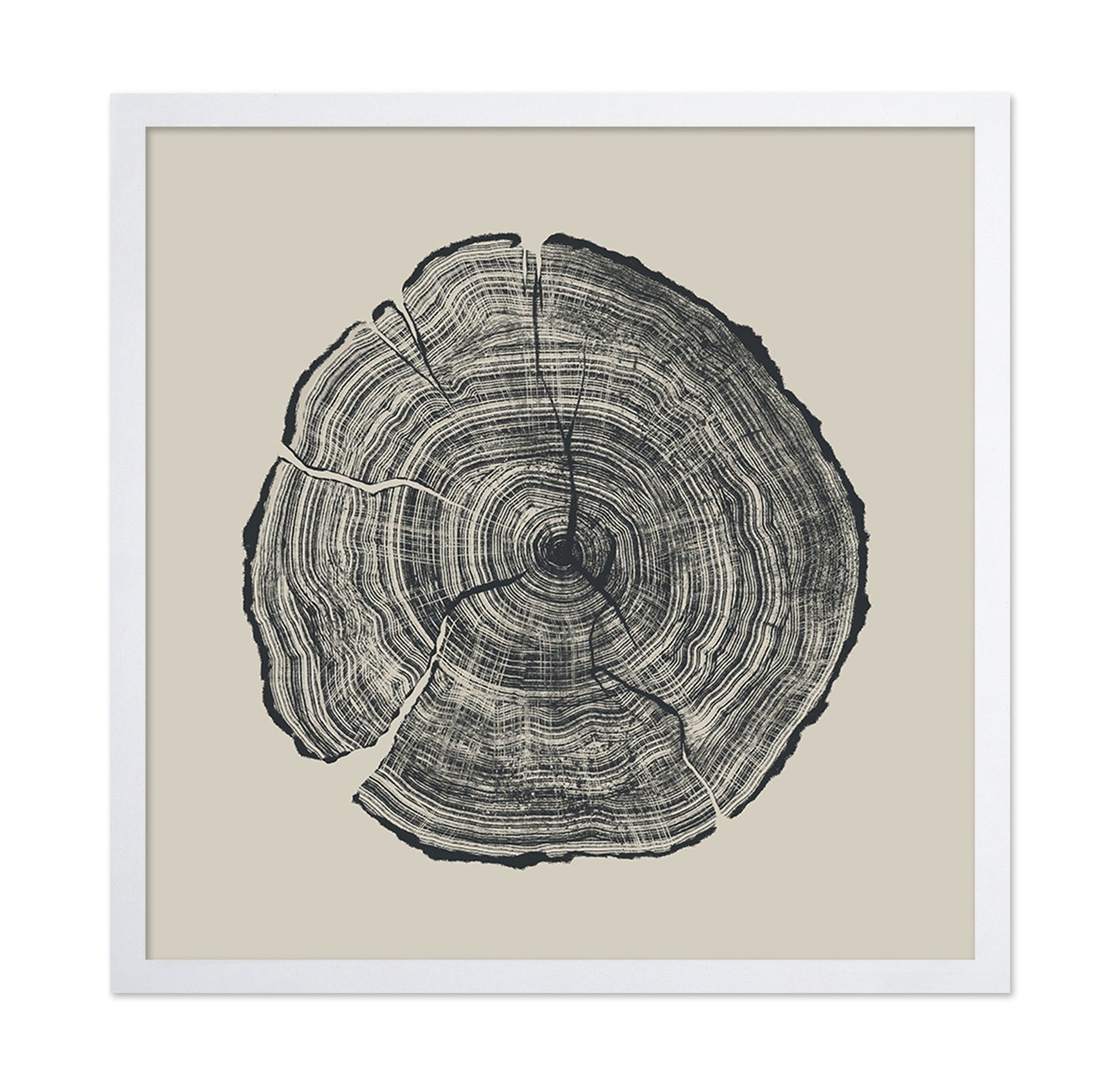 Tree Ring Slice