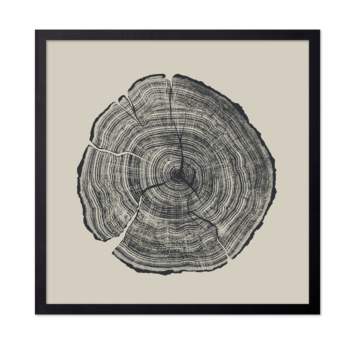 Tree Ring Slice