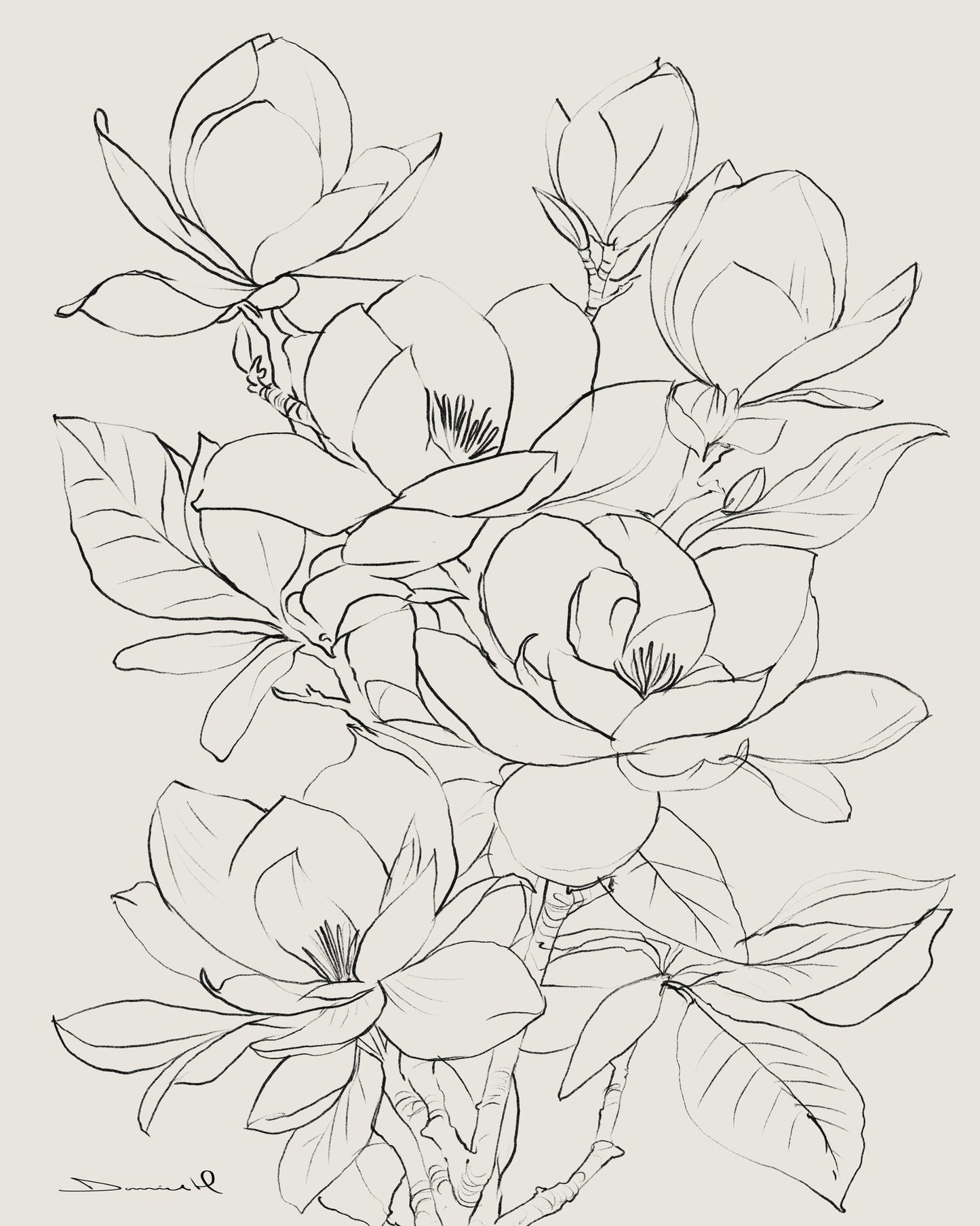 Magnolia Line Bloom