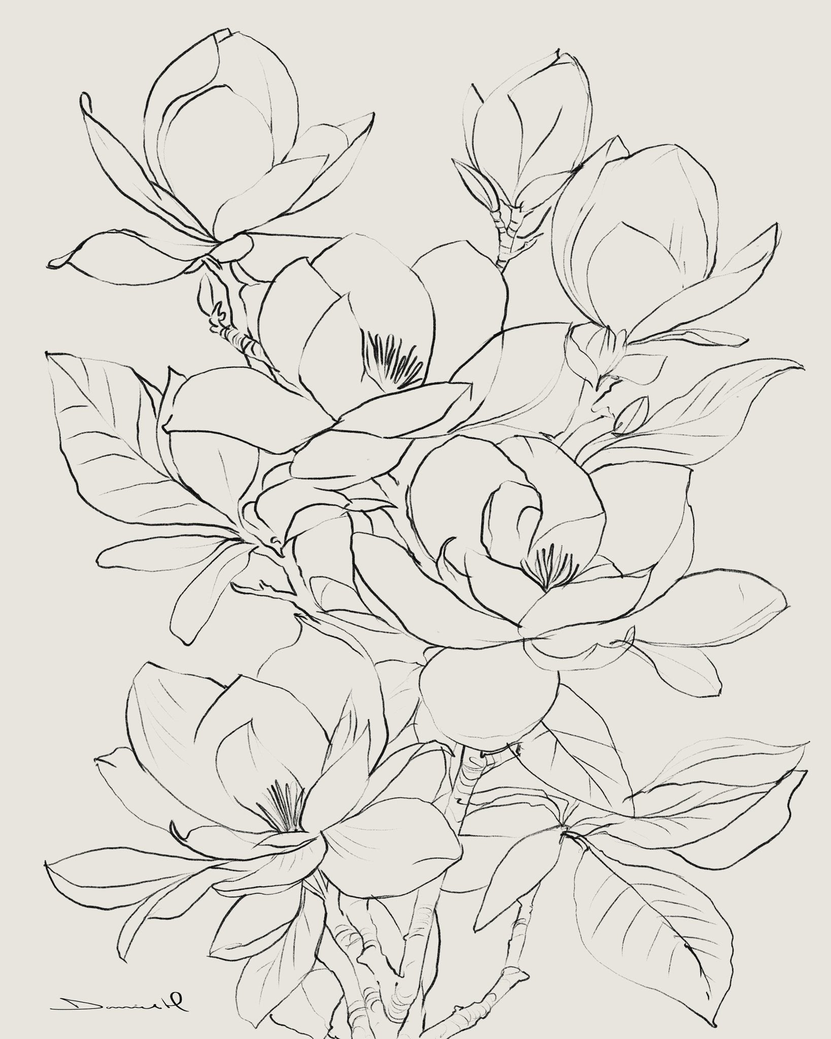 Magnolia Line Bloom