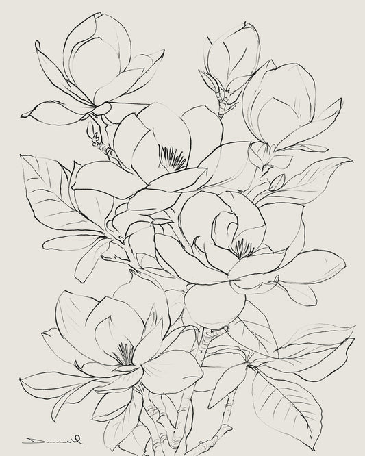Magnolia Line Bloom