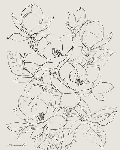 Magnolia Line Bloom